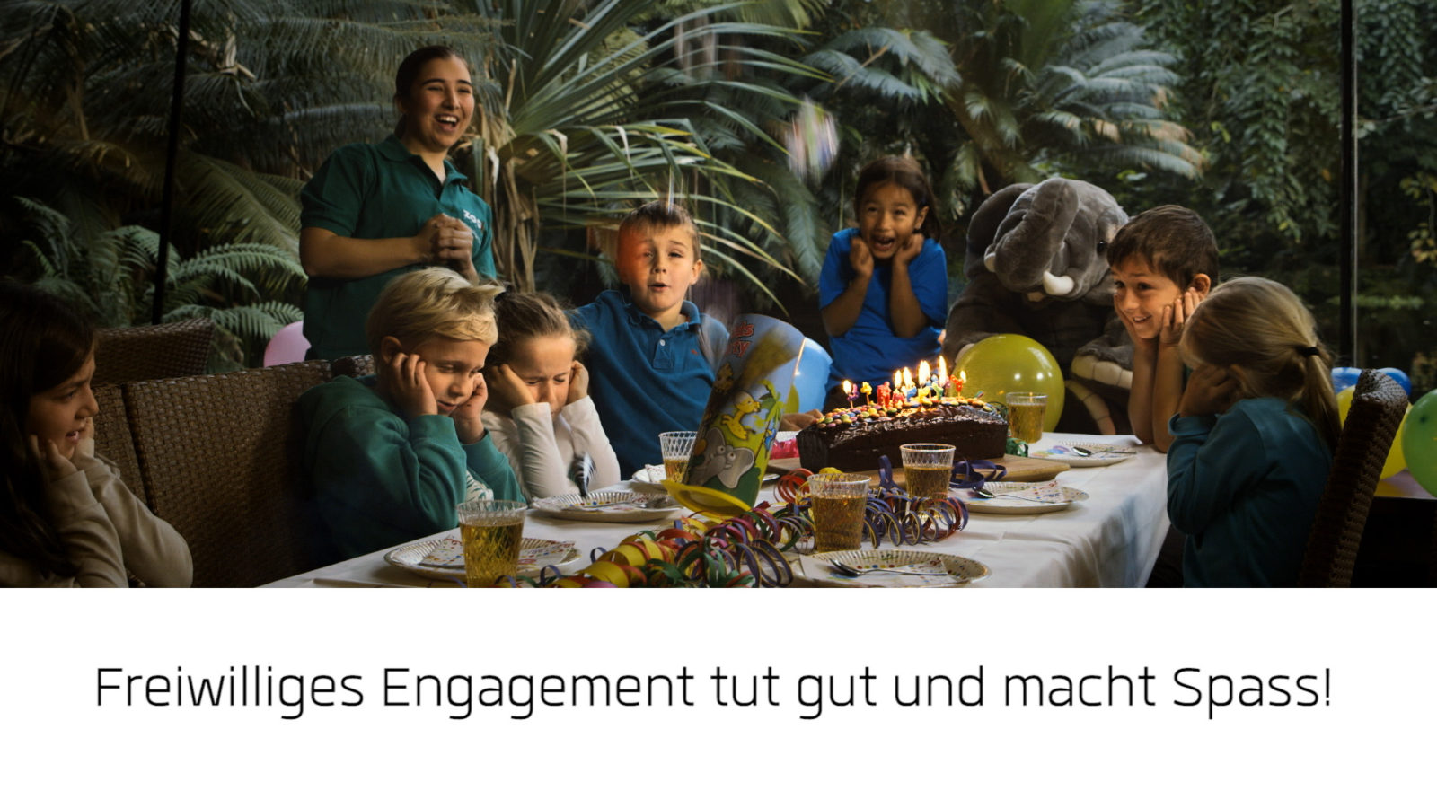Benevoljobs.ch – 2 Spots